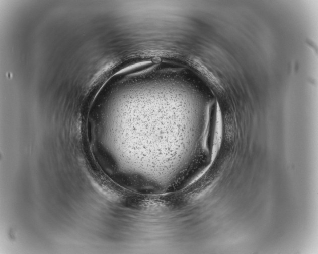 X0000094950207200712201145