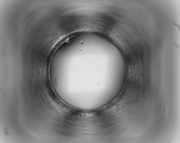 X0000094950208200712201145