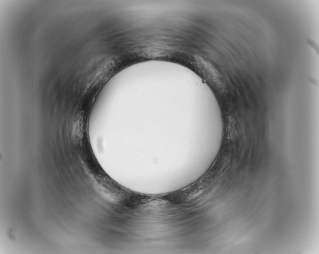 X0000094950210200712201145