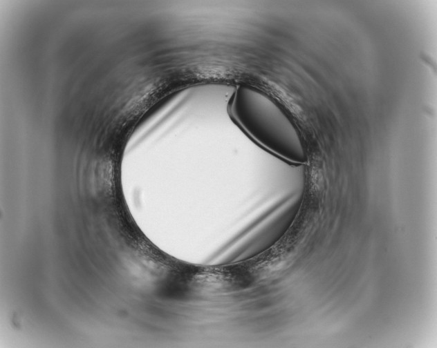 X0000094950211200712201145