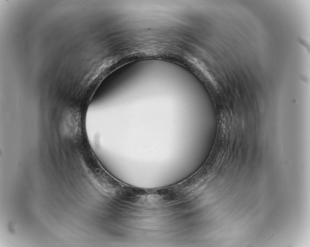 X0000094950212200712201145