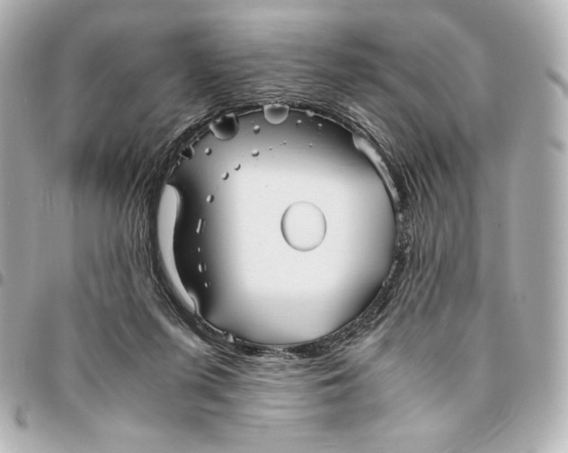 X0000094950215200712201145