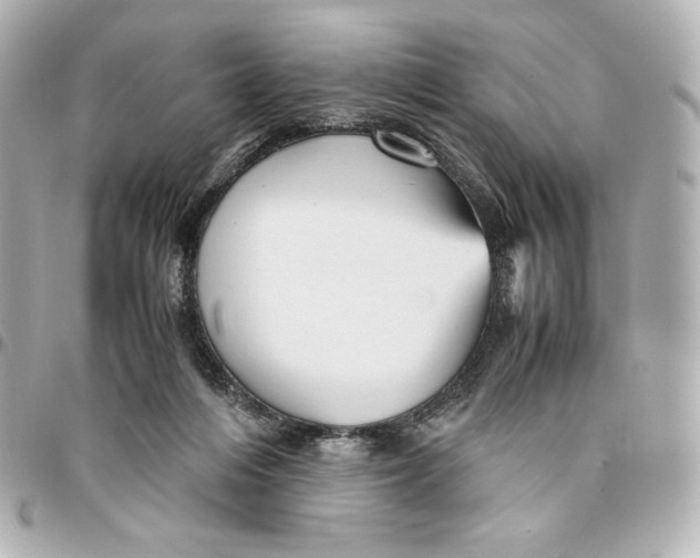 X0000094950216200712201145