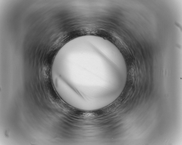 X0000094950218200712201145