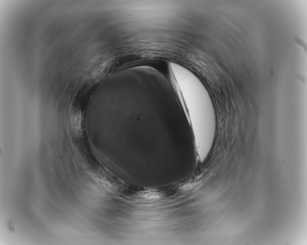 X0000094950219200712201145