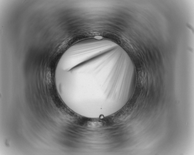 X0000094950220200712201145