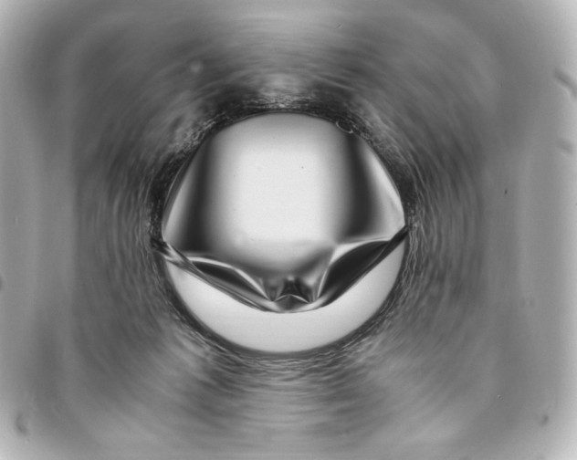 X0000094950221200712201145