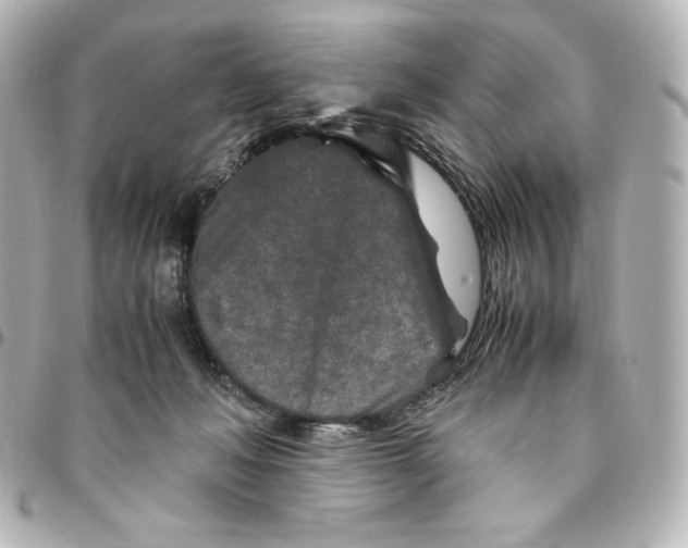 X0000094950222200712201145