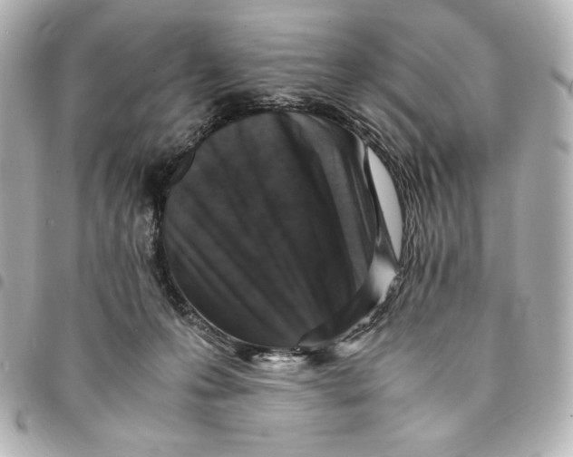 X0000094950223200712201145