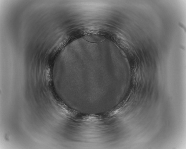 X0000094950224200712201145