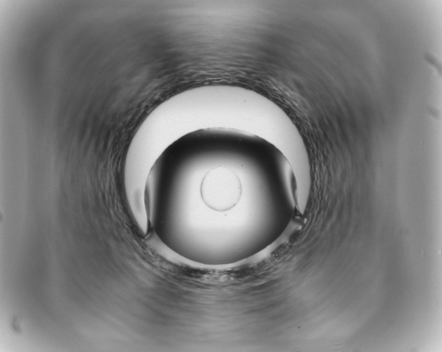 X0000094950225200712201145