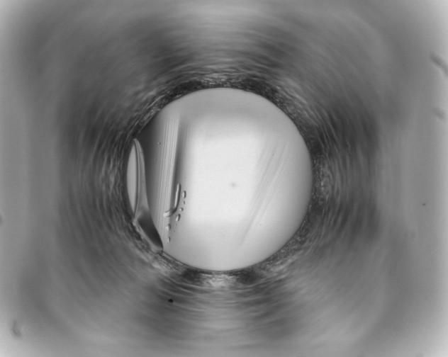 X0000094950226200712201145