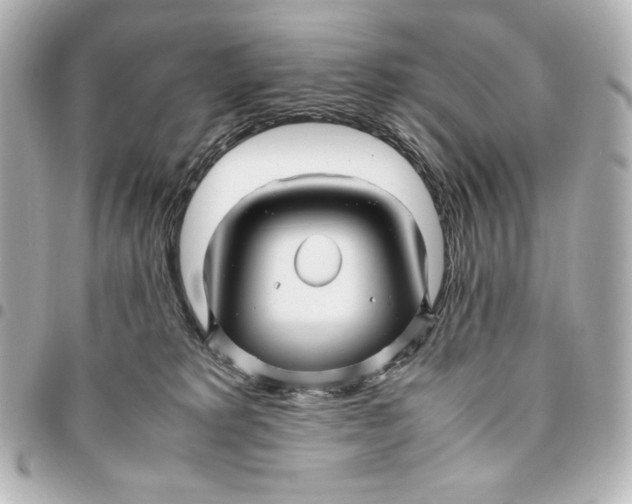 X0000094950229200712201144