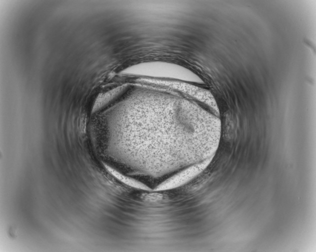 X0000094950230200712201144