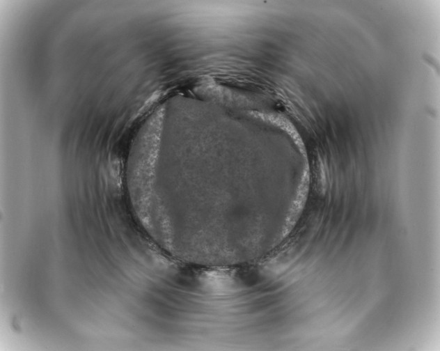 X0000094950232200712201144