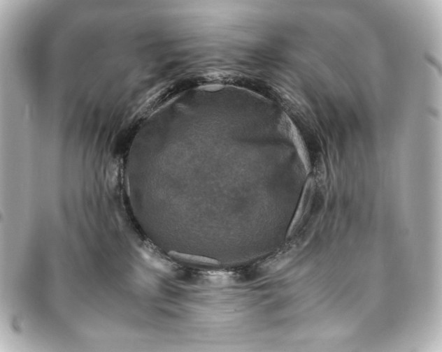 X0000094950233200712201144