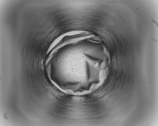 X0000094950234200712201144