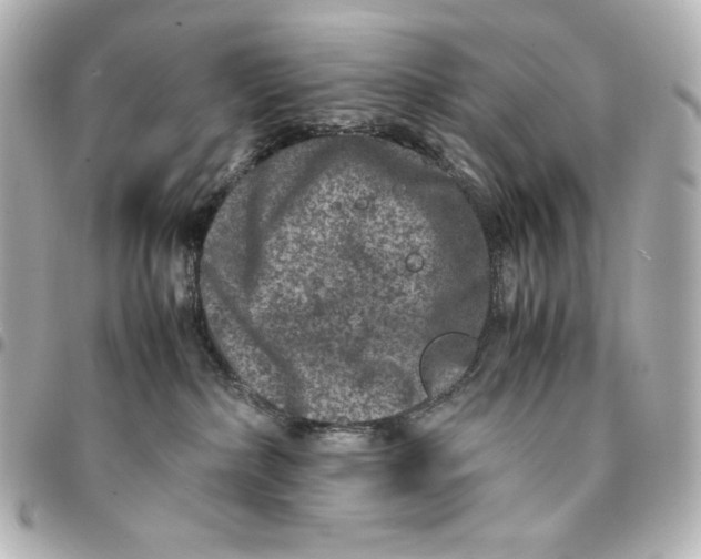 X0000094950236200712201144