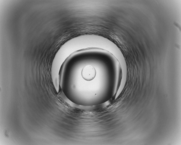 X0000094950237200712201144