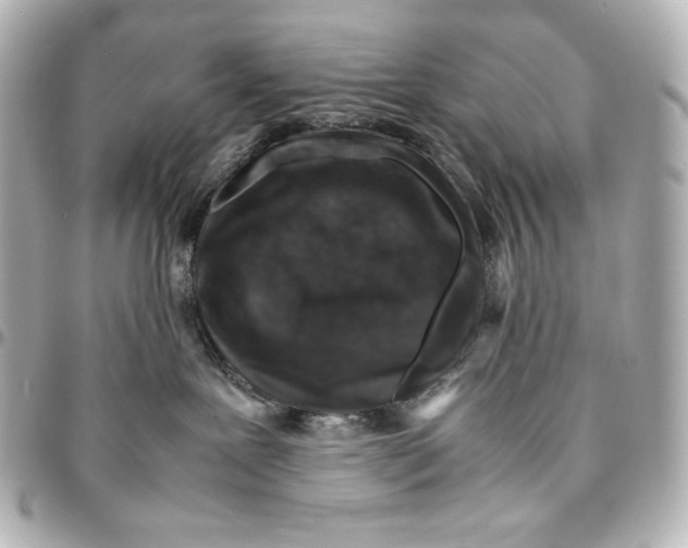 X0000094950239200712201144