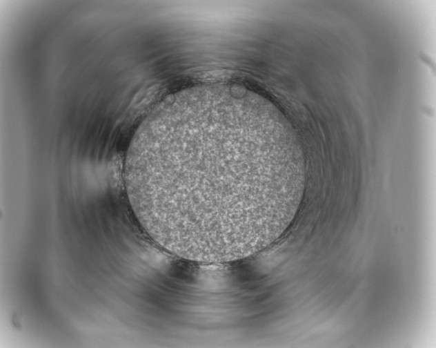 X0000094950240200712201144