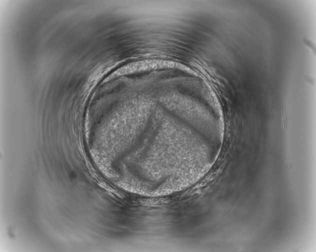 X0000094950241200712201144