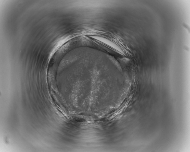 X0000094950244200712201144