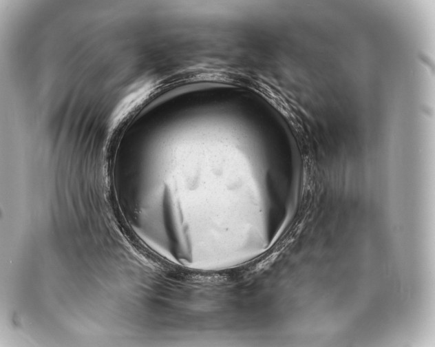 X0000094950245200712201144