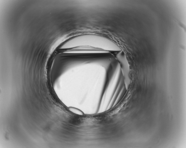 X0000094950246200712201144