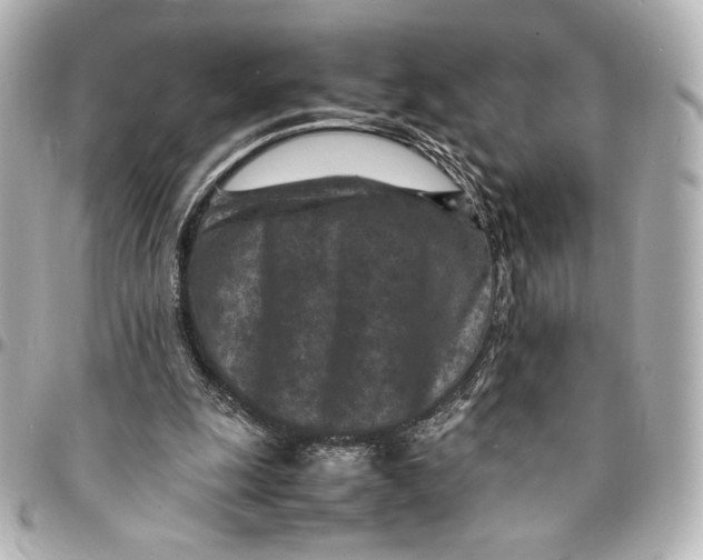 X0000094950247200712201144