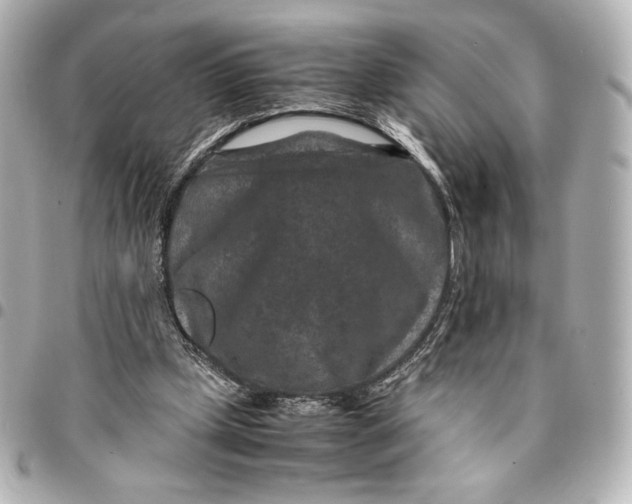 X0000094950249200712201144