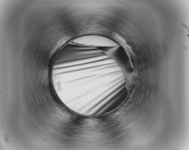 X0000094950250200712201144