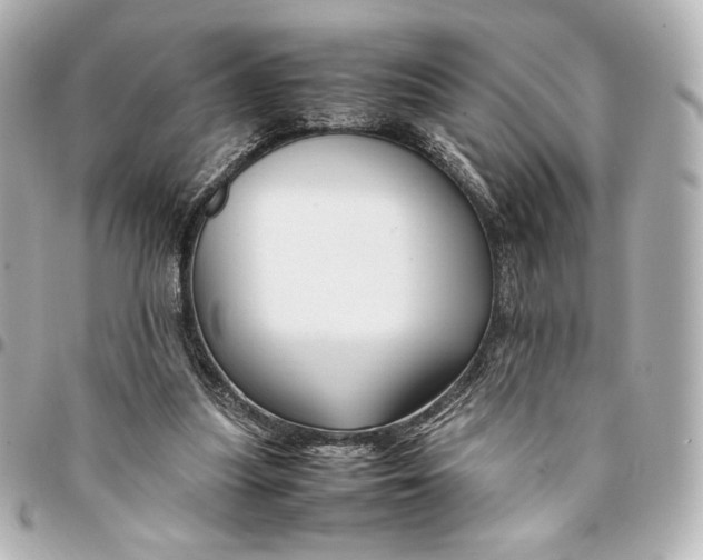 X0000094950251200712201144