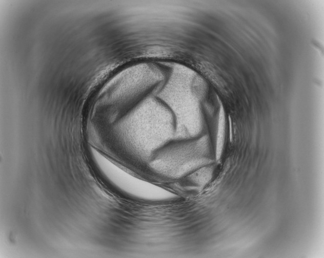 X0000094950252200712201144