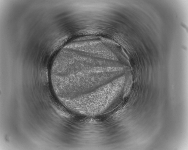 X0000094950254200712201144