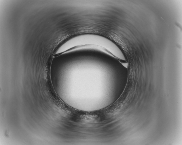 X0000094950255200712201144