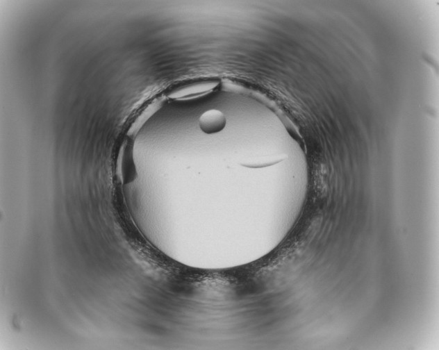 X0000094950256200712201144