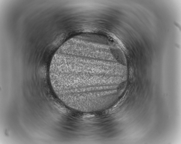 X0000094950257200712201144