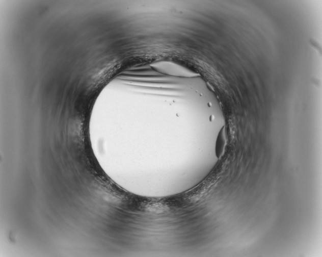 X0000094950258200712201144