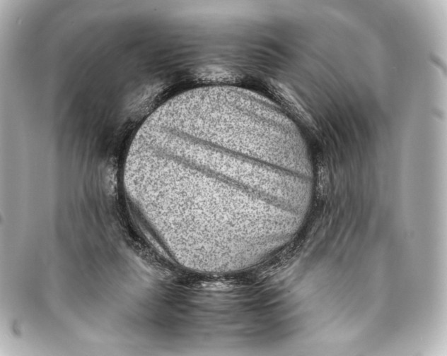 X0000094950259200712201144