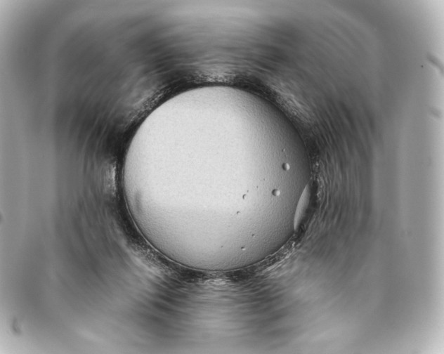 X0000094950262200712201144