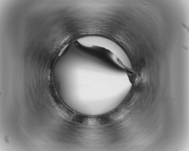 X0000094950264200712201144