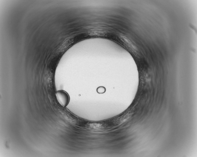 X0000094950265200712201144