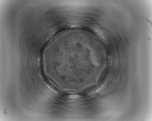 X0000094950269200712201144