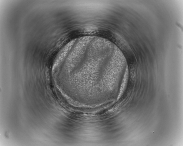 X0000094950270200712201144