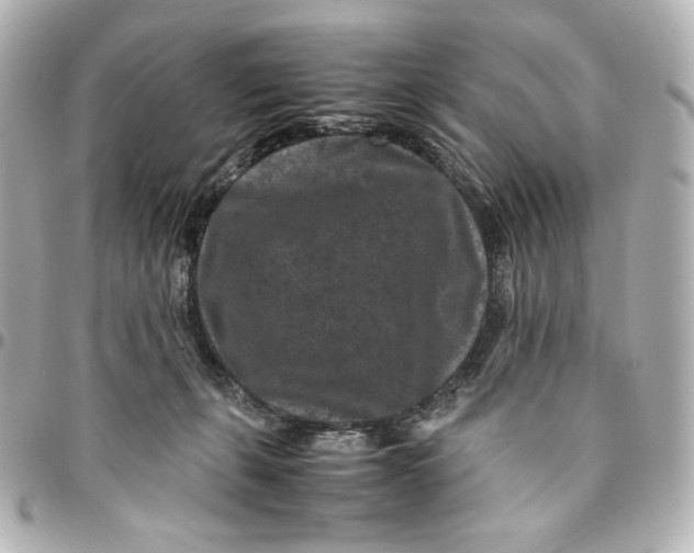 X0000094950271200712201144