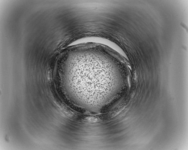 X0000094950272200712201144