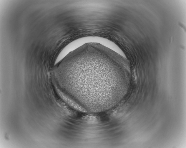 X0000094950276200712201144