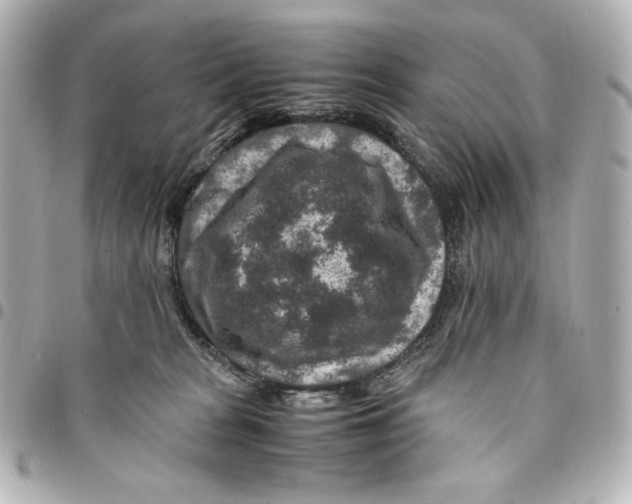 X0000094950277200712201144