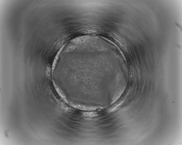 X0000094950281200712201144